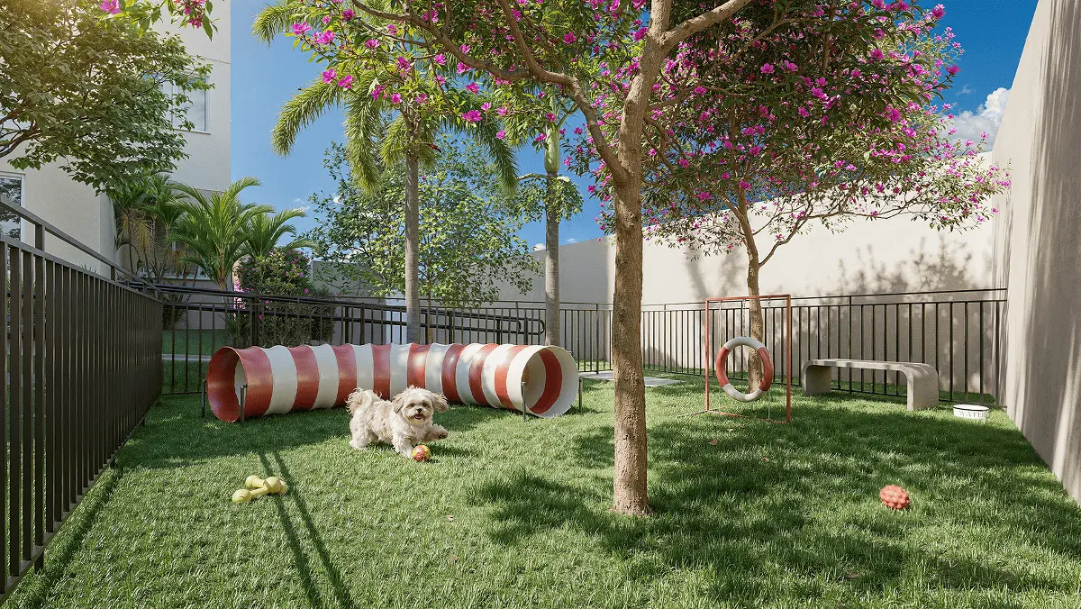 Pet place externo gramado com obstáculos.